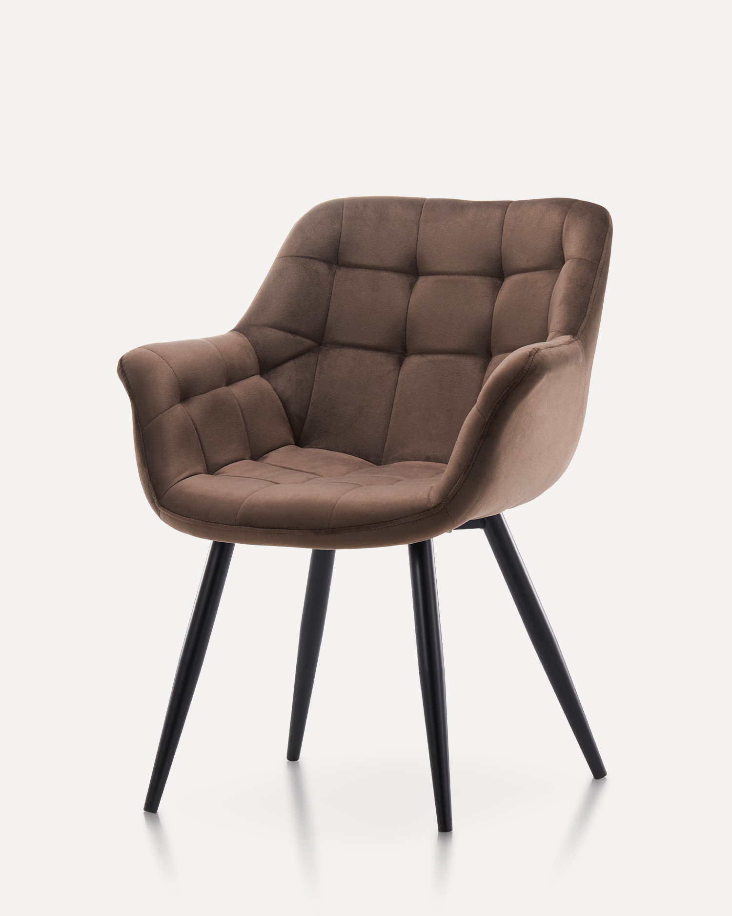 Brown holoserica triclinium