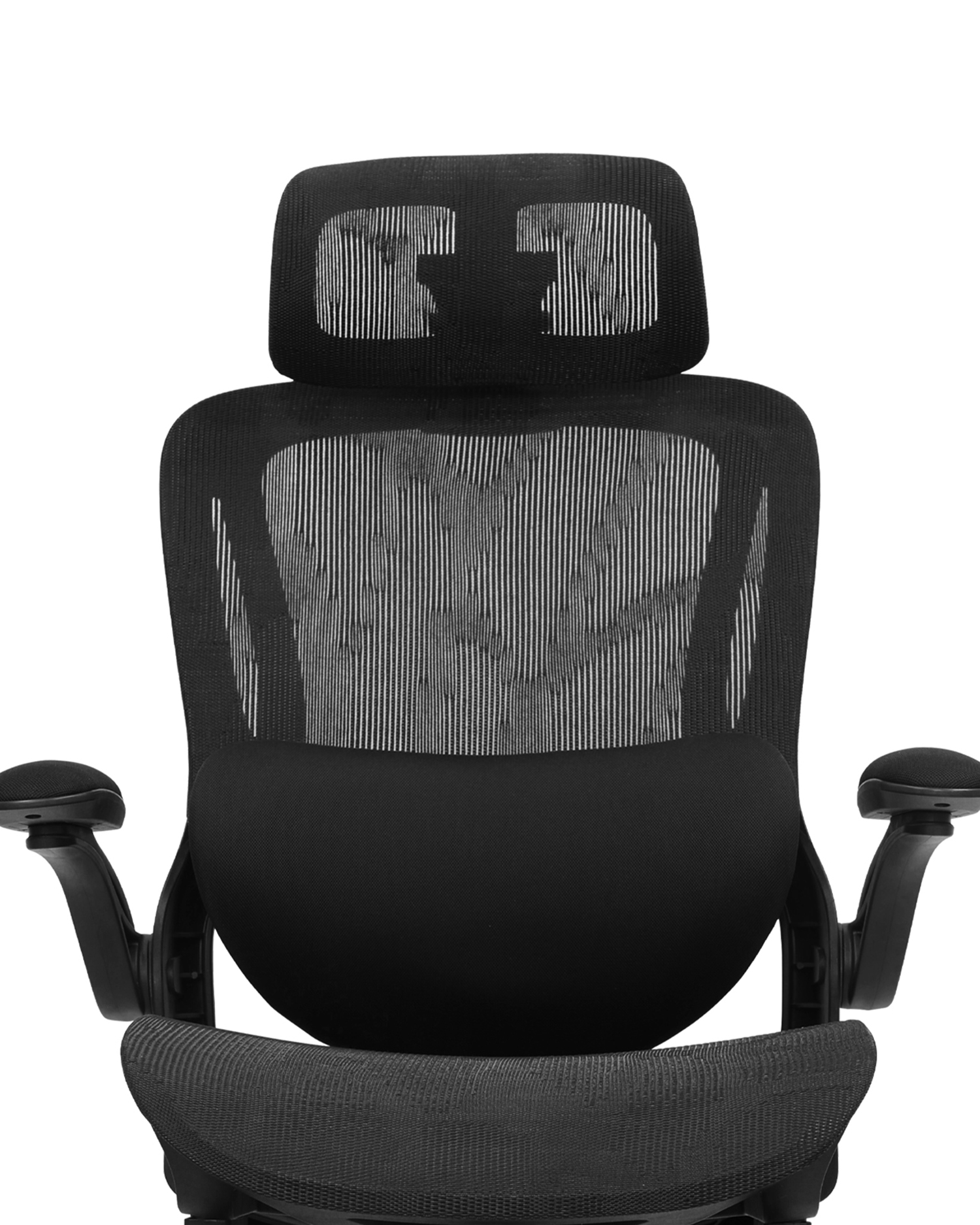 EXSECUTOR Cathedra cum EXSECUTOR Cathedra cum
