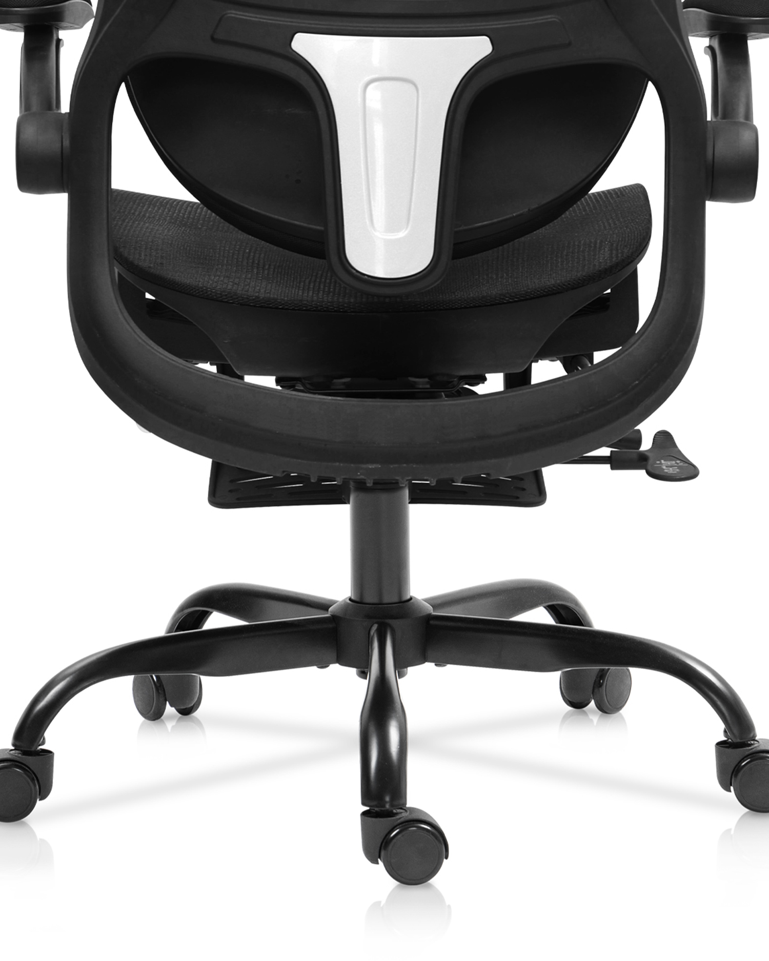EXSECUTOR Cathedra cum EXSECUTOR Cathedra cum